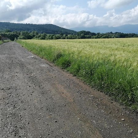 Domki Sowi Kamien Lomnica  Bagian luar foto