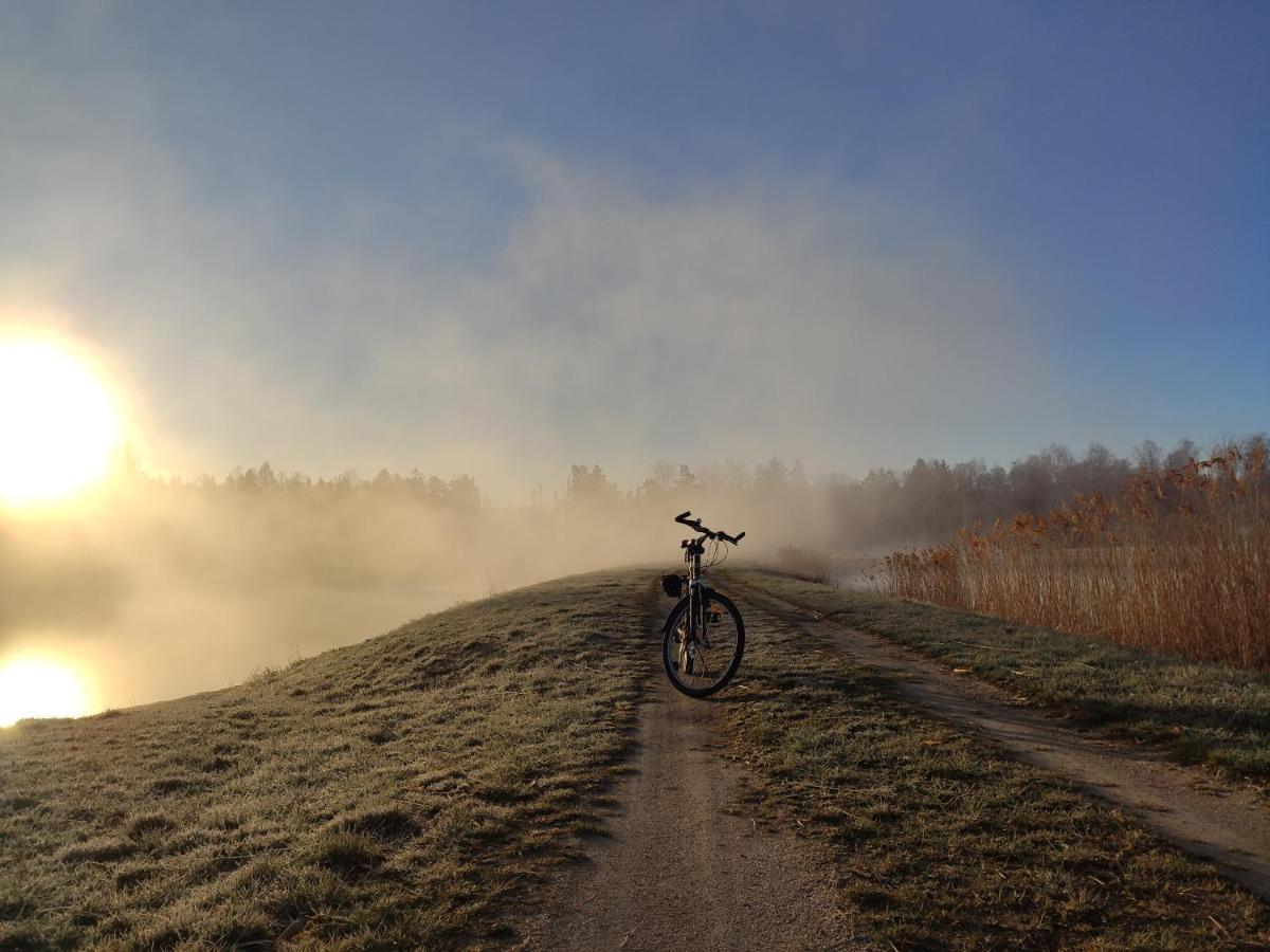 Domki Sowi Kamien Lomnica  Bagian luar foto