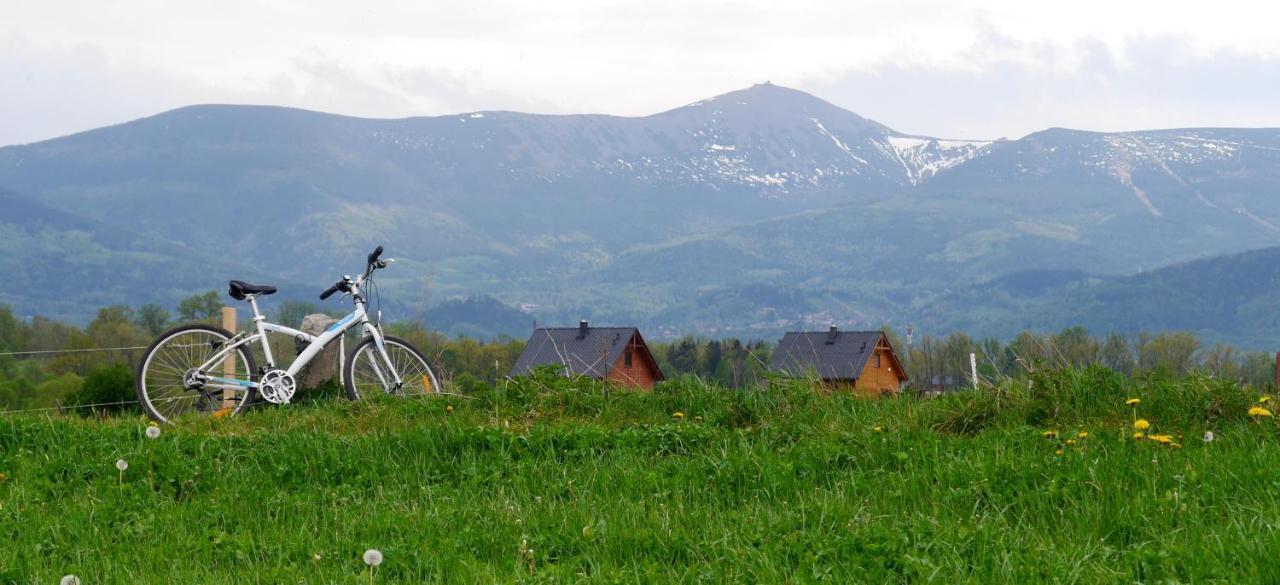 Domki Sowi Kamien Lomnica  Bagian luar foto