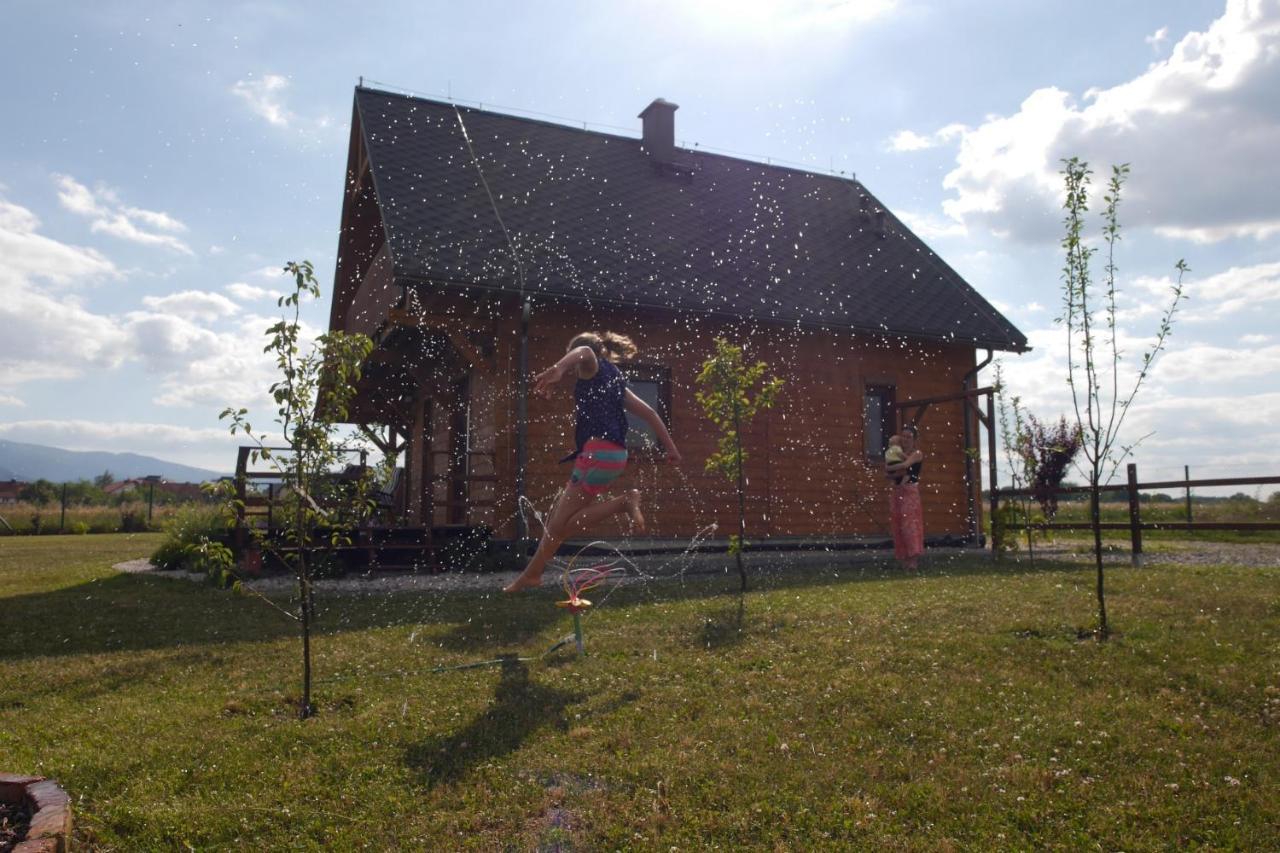 Domki Sowi Kamien Lomnica  Bagian luar foto