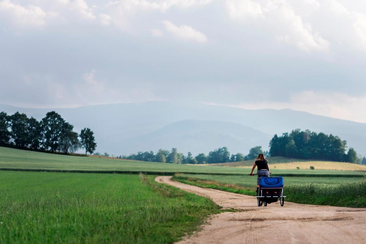 Domki Sowi Kamien Lomnica  Bagian luar foto
