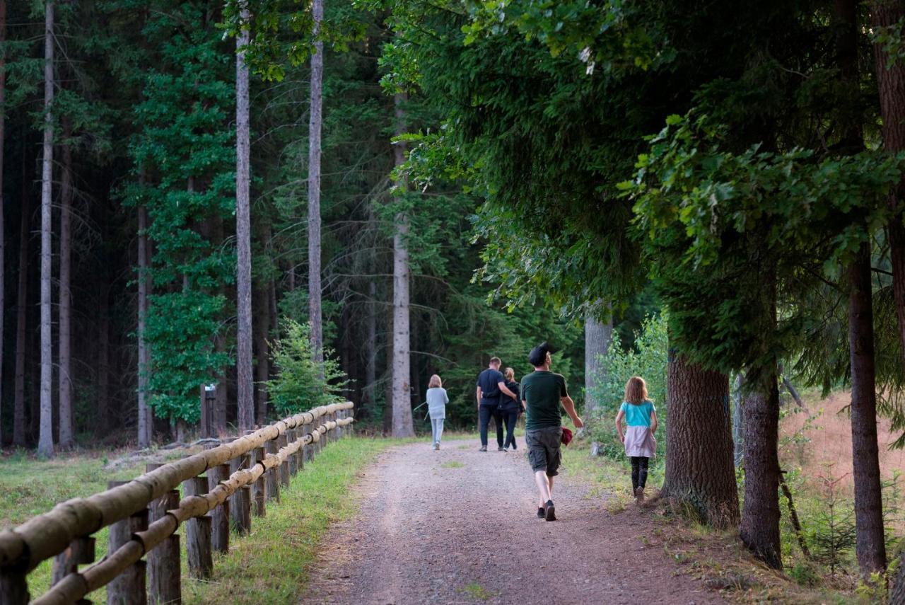 Domki Sowi Kamien Lomnica  Bagian luar foto