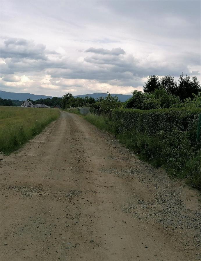 Domki Sowi Kamien Lomnica  Bagian luar foto