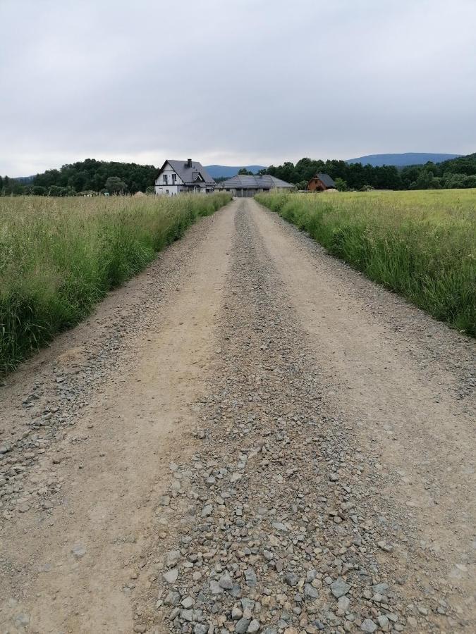 Domki Sowi Kamien Lomnica  Bagian luar foto