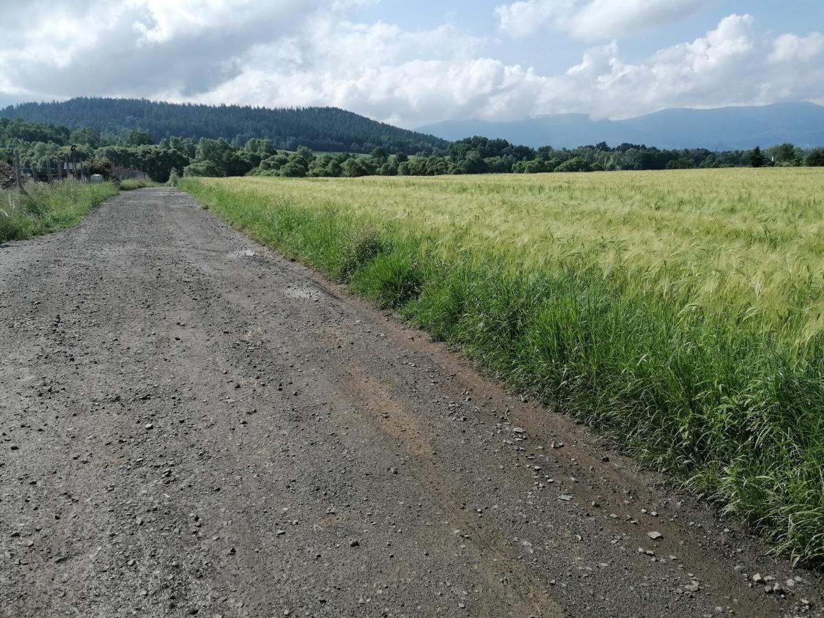Domki Sowi Kamien Lomnica  Bagian luar foto